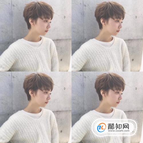 ������ʶ�̷�����������